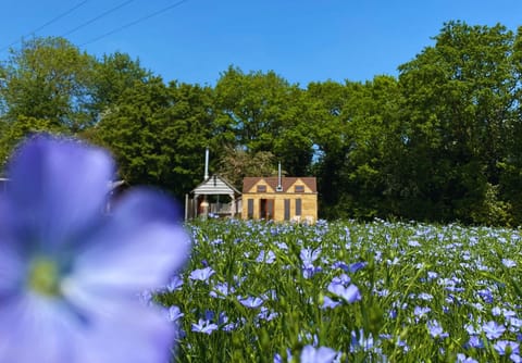 Tinywood Two, sleep up to six people near Warwick