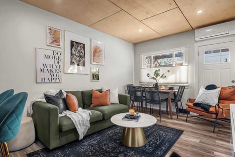 Multi-use living room with comfy sofa bed
