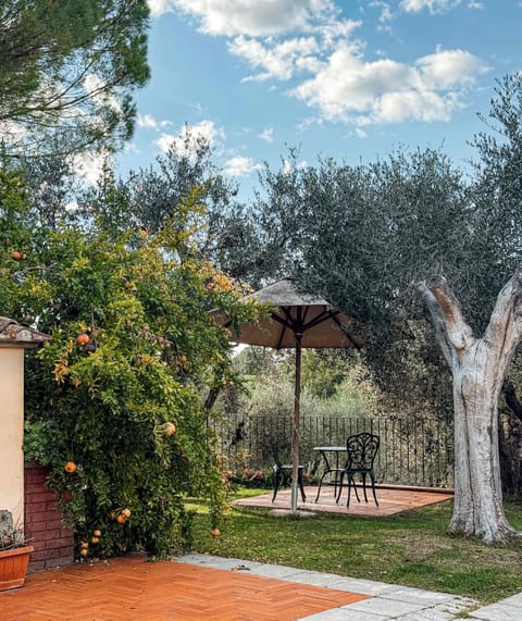 Enjoy coffee under the Olive & Pomegranate Trees.