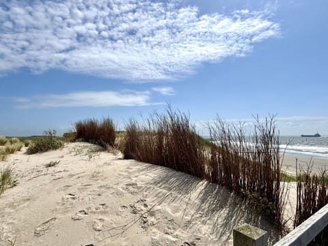 Natural Environment, Horizon, Ecoregion, Sand, Beach, Coast, Coastal And Oceanic Landforms, Shore, Sea, Ocean