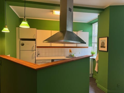 Full-size fridge, oven, stovetop, dishwasher