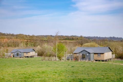 On the left, Kingfisher and Woodpecker on the right near the lake