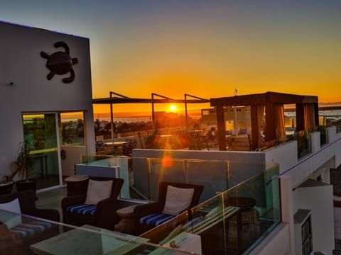 Rooftop terrace
