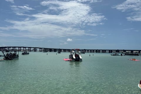Crab Island