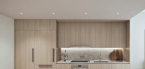 Convection over, refrigerator and dishwasher.