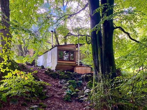 Dog friendly Hideaway Hut