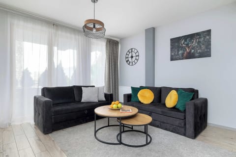 A modern living room with a dark sofa, round coffee table, and yellow accent cushions. Large windows with sheer curtains allow plenty of natural light. The space feels cozy yet contemporary.