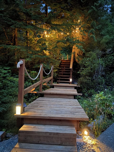 Beautiful boardwalk walk