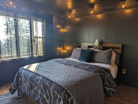 Nighthawk at Feather Nest Inn Hotel in Grand Marais