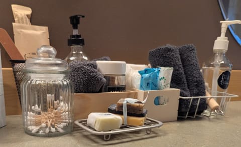 Nighthawk at Feather Nest Inn Hotel in Grand Marais