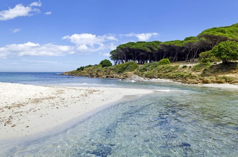 Apartment, 1 Bedroom, Balcony, Garden View | Beach