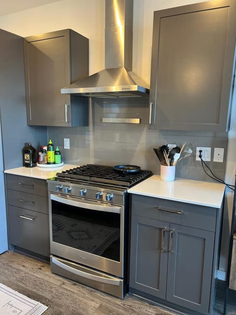 Gas stove and oven