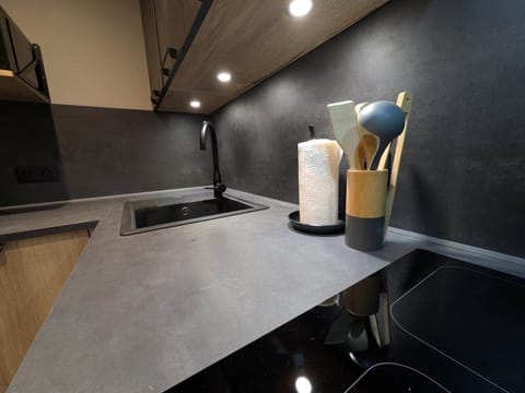 The kitchen with induction hob