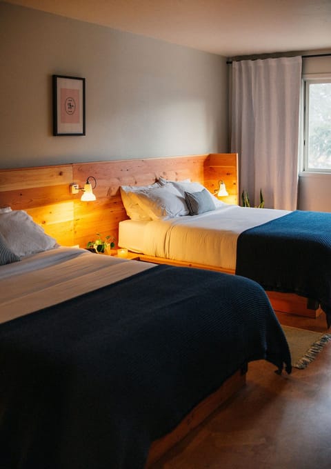 Hypo-allergenic bedding, desk, laptop workspace, iron/ironing board