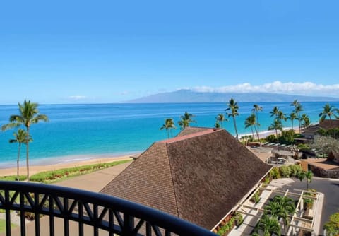 Balcony view overlooking beach, palm trees, and blue ocean waters