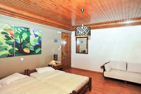 Spacious bedroom with warm wooden ceilings, featuring a comfortable double bed and an additional sofa bed, offering a cozy and flexible sleeping arrangement for families or small groups.