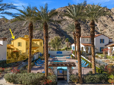 Resort Pool and Spa Framed by Palms