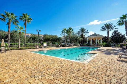 Outdoor swimming pool area with lounge chairs and palm trees under a clear blue sky