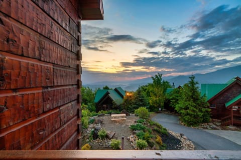 Wake up to this every morning