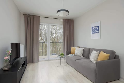 A modern living room with a gray sofa, colorful cushions, and a TV placed near the window. Floor-to-ceiling curtains allow soft natural light inside. The space feels cozy and well-balanced.