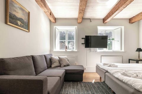 The bedroom with a double bed and a comfortable sofa, as well as a TV. The sofa can be turned into a sofa bed (140 cm wide) offering additional sleeping place.