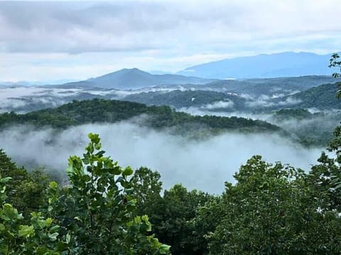Immerse yourself daily in this view.