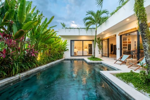 Basic Villa | Pool | Outdoor pool