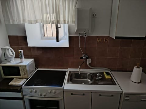 Apartment (A1) | Private kitchen