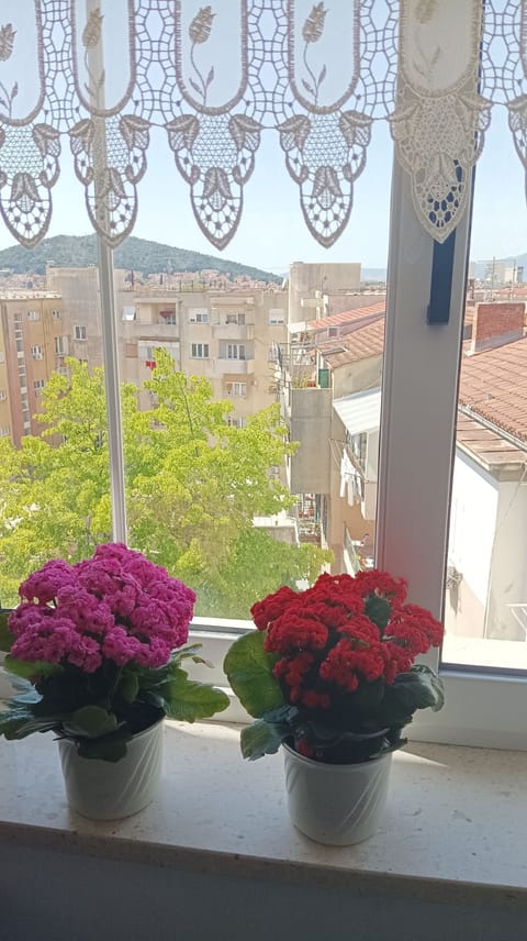 Apartment (A1) | Aerial view