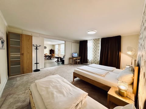 Superior Apartment | Hypo-allergenic bedding, down comforters, in-room safe, desk