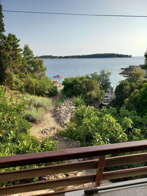 House | Property grounds