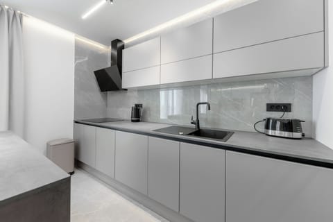 Apartment (A1) | Private kitchen | Fridge, microwave, oven, stovetop