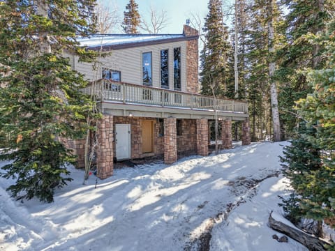 Welcome to the Mod Pup Lodge a mountain retreat nestled among snow-covered pines, featuring stone and wood construction with a spacious deck.