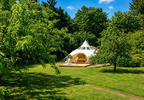 Romantic and secluded yurt within a rural area in the north Lincolnshire