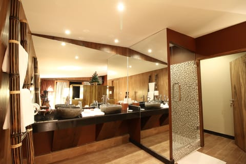 Junior Suite | Bathroom | Shower, free toiletries, hair dryer, bathrobes