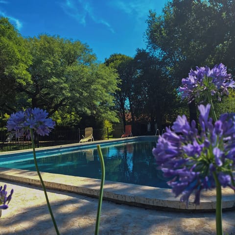2 outdoor pools, sun loungers