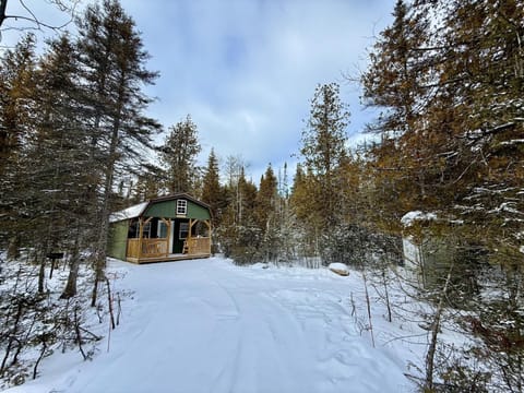 Nick's Place - Johnswood Off Grid Cabins on Drummond Island (5206)