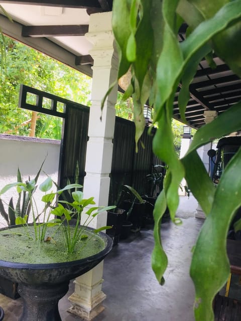Garden view