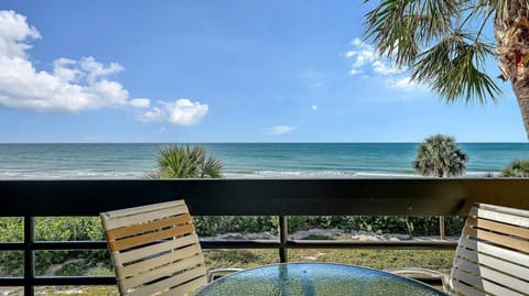 Oceanfront balcony with stunning sea views and palm trees