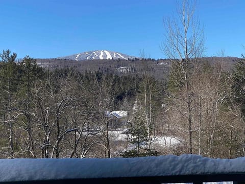 Stratton view from deck

