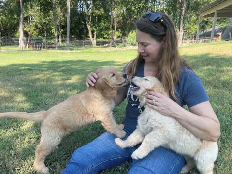 Two 80-pound dogs allowed on property, leashed outside the fence or house.