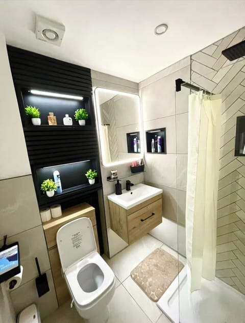 Shower, hair dryer, towels