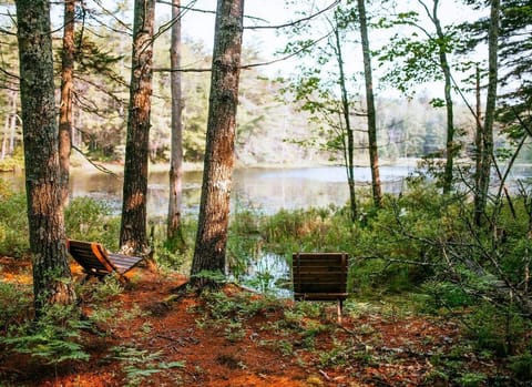 Relax by the beautiful pond which is right outside the cabin. 