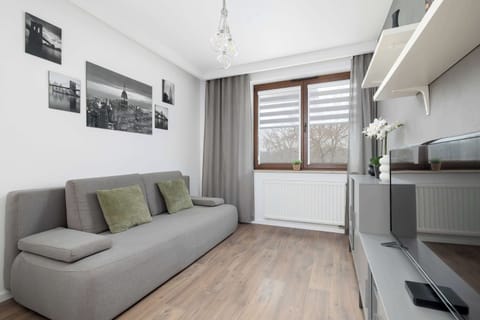 Bright and spacious living room with a comfortable sofa and natural light.