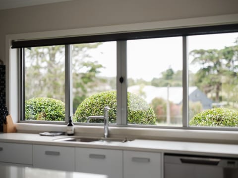 Kitchen with greenery
