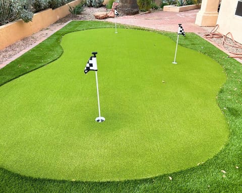 Brand new 3 hole putting green in backyard. 