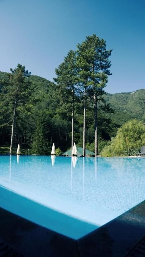Outdoor pool, pool umbrellas, sun loungers