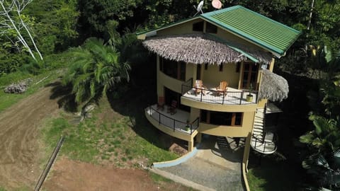 Birdseye View of House