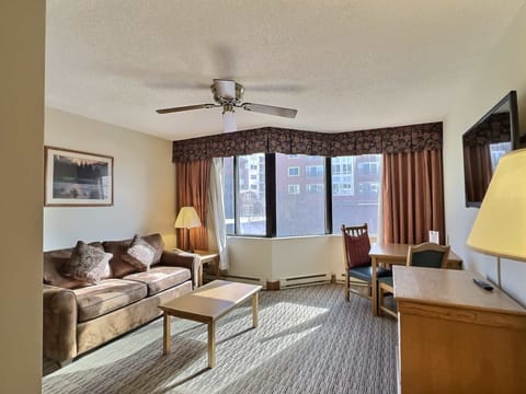 【Living Room】Land here after first chair — the sofa folds out to sleep two more