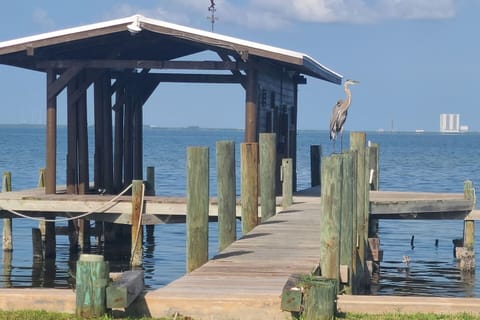 Meet our local Great Blue Heron, a frequent visitor to the dock! While you watch the wildlife, enjoy a legendary view of the NASA Vehicle Assembly Building (VAB) directly across the river—the perfect backdrop for morning coffee or sunset drinks.